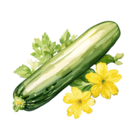 Zucchini watercolor illustration, Vegetable isolated on transparent background, AI Generative png