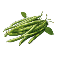 Green Beans watercolor illustration, Vegetable isolated on transparent background, AI Generative png