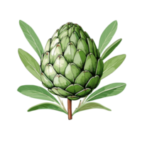 Artichoke watercolor illustration, Vegetable isolated on transparent background, AI Generative png