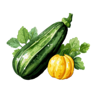 calabacín acuarela ilustración, vegetal aislado en transparente fondo, ai generativo png