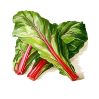 Swiss Chard watercolor illustration, Vegetable isolated on transparent background, AI Generative png