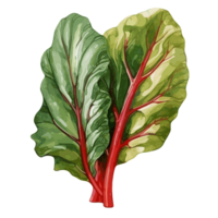 Swiss Chard watercolor illustration, Vegetable isolated on transparent background, AI Generative png