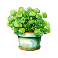 Watercress watercolor illustration, Vegetable isolated on transparent background, AI Generative png