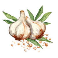 Garlic watercolor illustration, Vegetable isolated on transparent background, AI Generative png