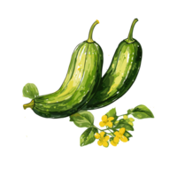 Zucchini aquarelle illustration, légume isolé sur transparent arrière-plan, ai génératif png