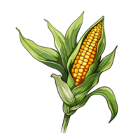 Corn watercolor illustration, Vegetable isolated on transparent background, AI Generative png