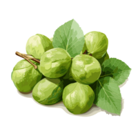 Brussels Sprouts watercolor illustration, Vegetable isolated on transparent background, AI Generative png