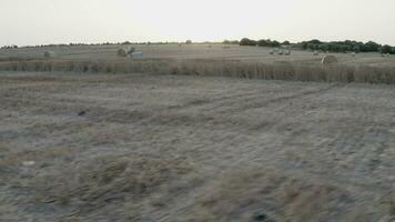 Flight through morning field with hey stacks video