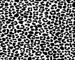 Leopard black spots pattern seamless on a white background classic design. vector