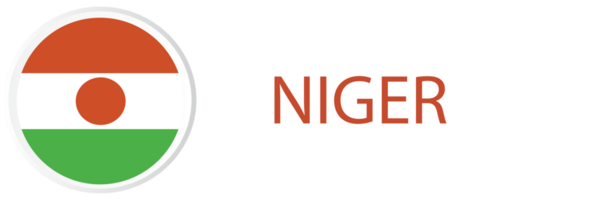 Niger drapeau dans bouton la toile. png