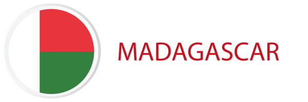 Madagascar flag in button web. png