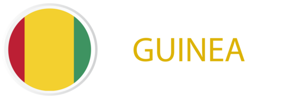 Guinea Flagge im Taste Netz. png