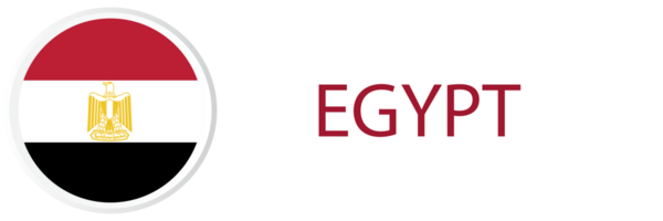 Egypte drapeau dans bouton la toile. png