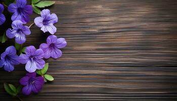 Violet flowers on wooden background. Top view with copy space. photo