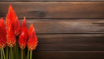 Red cockscomb flowers on brown wooden table. Top view with copy space photo