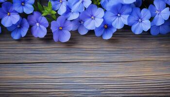 Blue pansy flowers on wooden background. Top view with copy space photo