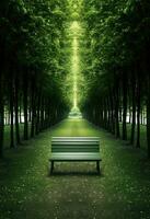 Park bench in the middle of a tunnel of green trees with sunlight photo