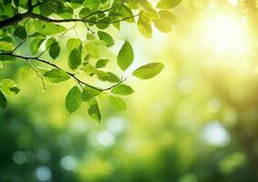 Fresh green leaves with sunbeams and lens flare. Natural background photo