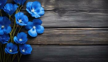 Blue flowers on a black wooden background. Copy space. Top view. photo