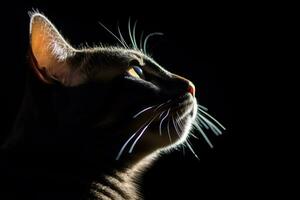 a cat is silhouetted against a black background generative AI photo