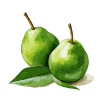 Avocado watercolor illustration, Vegetable isolated on transparent background, AI Generative png