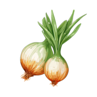 Onion watercolor illustration, Vegetable isolated on transparent background, AI Generative png