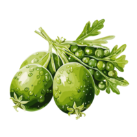 ärtor vattenfärg illustration, vegetabiliska isolerat på transparent bakgrund, ai generativ png