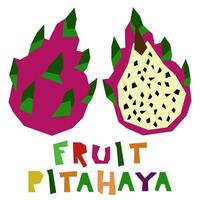 The dragon fruit, whole and in section, is highlighted on a white background. The original signature is pitahaya. Juicy summer fruits for organic food packaging. Geometric stylized flat vector