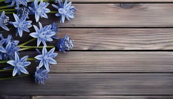 Blue hyacinth flowers on wooden background. Top view with copy space photo