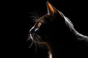 a black cat is silhouetted against a dark background generative AI photo