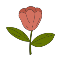 Simple flower illustration png