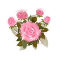 Rose pink watercolour png