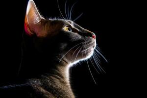 a cat is looking up in the dark generative AI photo