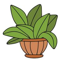 Houseplant in pot colored outline isolated on white background. Vector illustration.