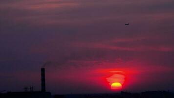 The aircraft on the final approach before landing on the background of the sunset dusk sky video