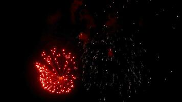 Feuerwerk am Nachthimmel. video