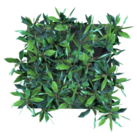 Small hedge 3d rendering png