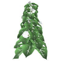 a green plant with white flowers on it png