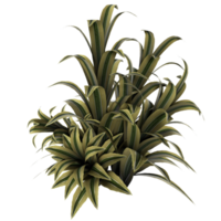 ein Pflanze mit Grün Blätter auf ein Weiß Hintergrund png