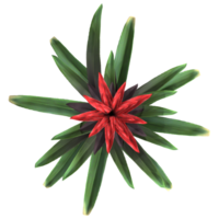 un rojo flor con verde hojas en un transparente antecedentes png