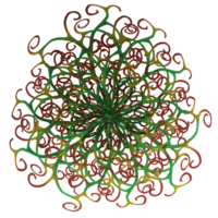 a green and red flower with swirls on transparent png