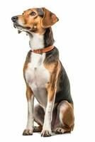 a beagle dog sitting on a white background generative AI photo