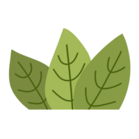 Bushes and Green Grass png