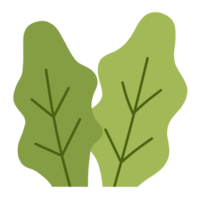 struiken en groen gras png