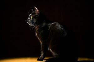 un negro gato sentado en el oscuro generativo ai foto