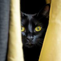 a black cat peeking out from behind a curtain generative AI photo