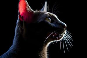 un negro gato con brillante rojo orejas en un negro antecedentes generativo ai foto