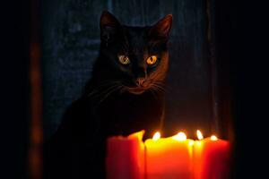 a black cat sitting next to a lit candle generative AI photo