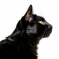 un negro gato con amarillo ojos en un blanco antecedentes generativo ai foto