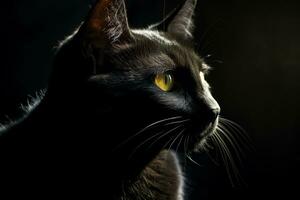 un negro gato con amarillo ojos en el oscuro generativo ai foto